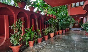 brindavan-plants-nursery
